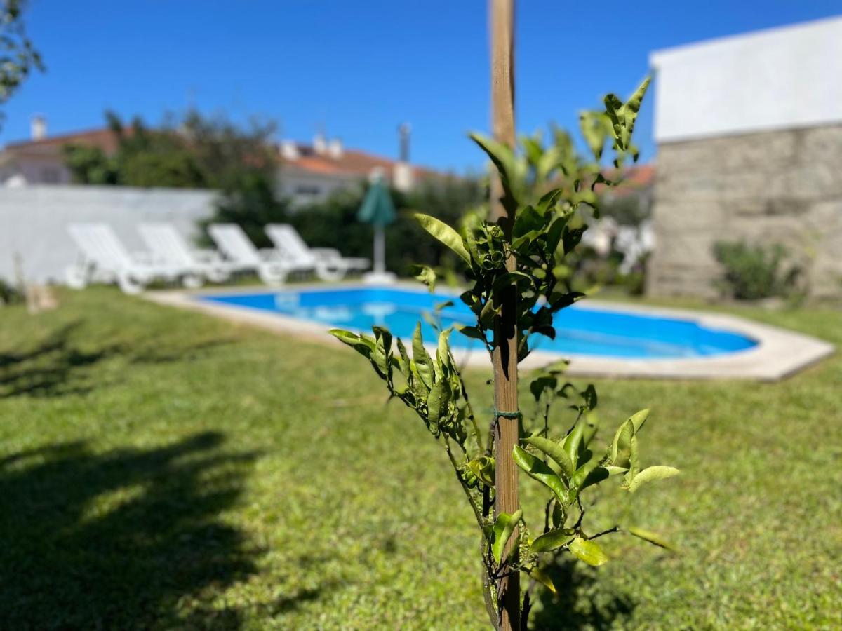 ビアナドカステロ Casa Do Albanoヴィラ エクステリア 写真