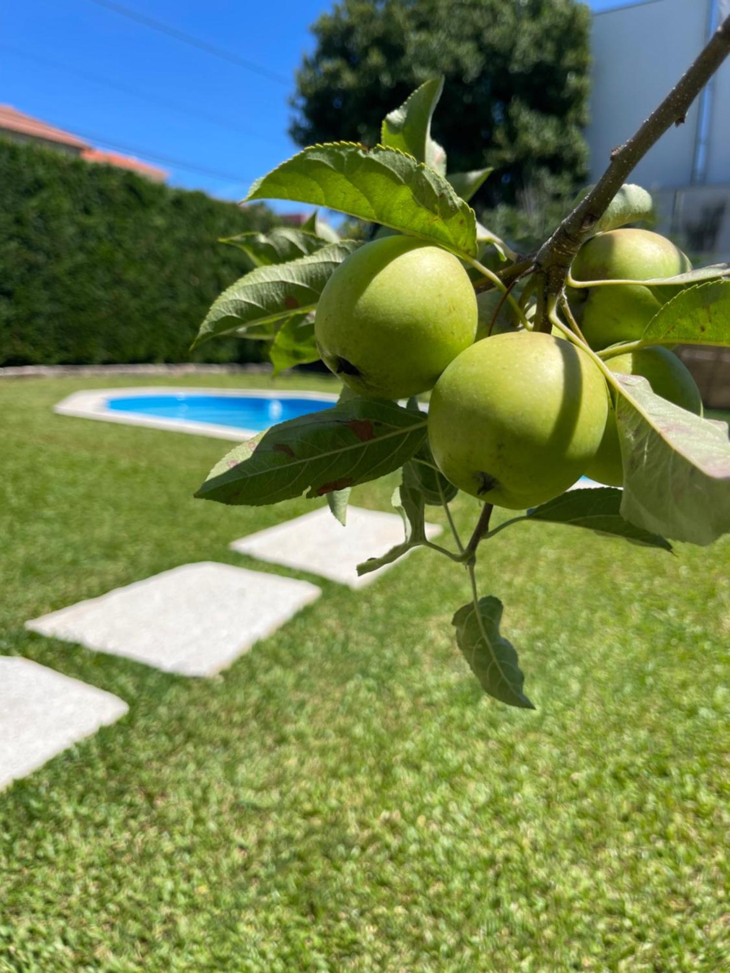ビアナドカステロ Casa Do Albanoヴィラ エクステリア 写真