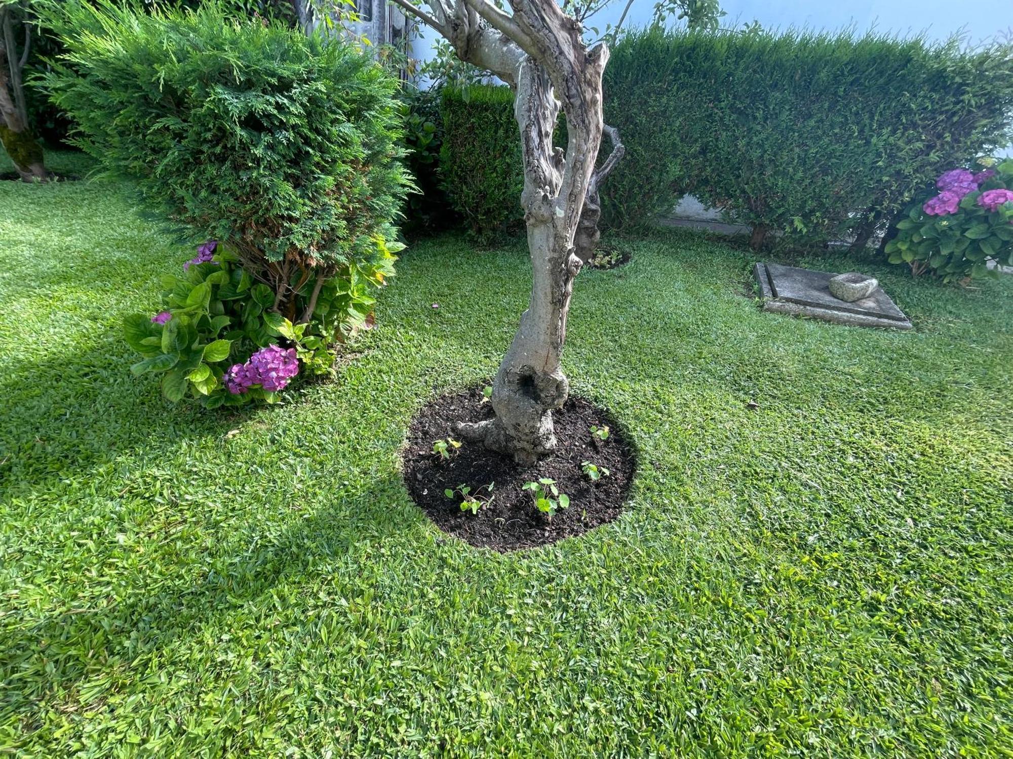 ビアナドカステロ Casa Do Albanoヴィラ エクステリア 写真