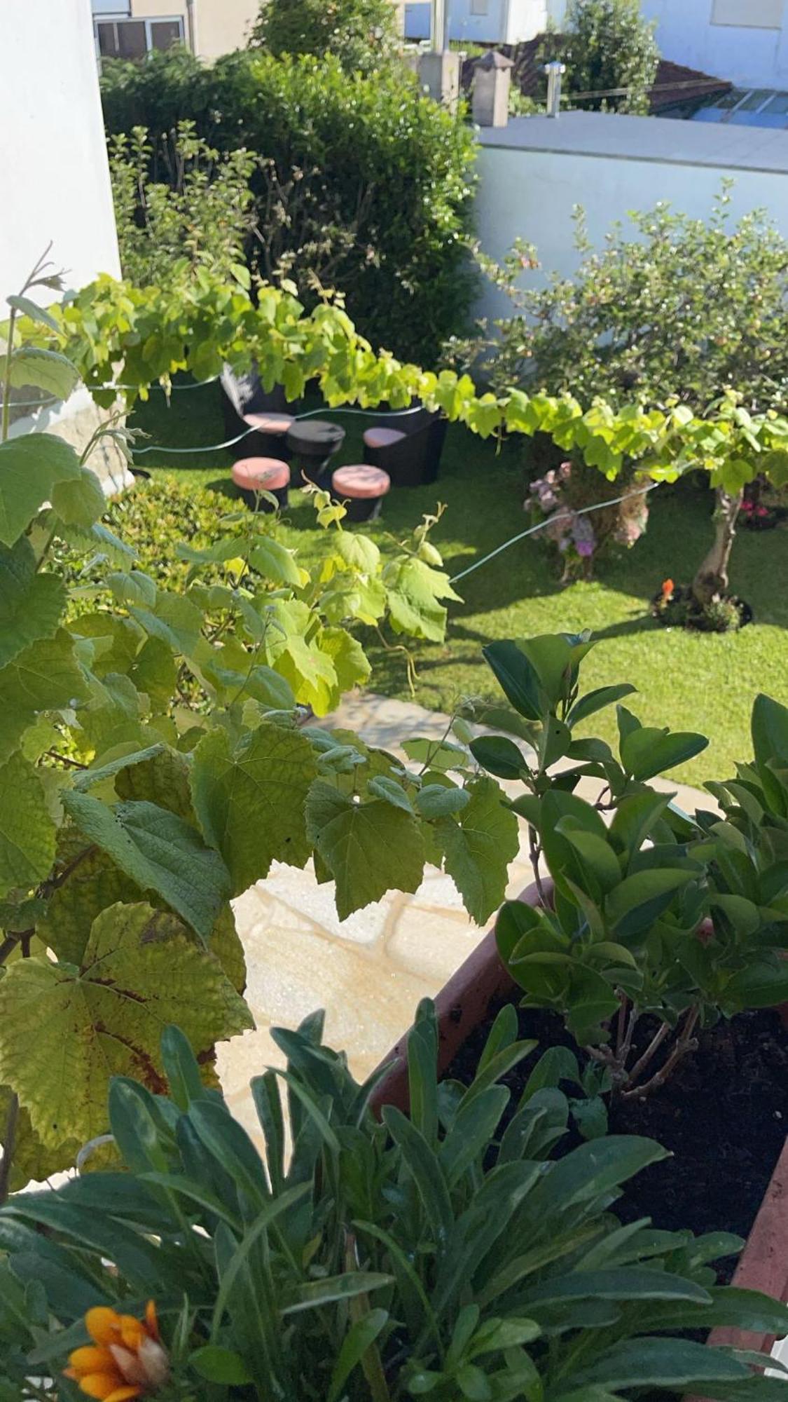 ビアナドカステロ Casa Do Albanoヴィラ エクステリア 写真